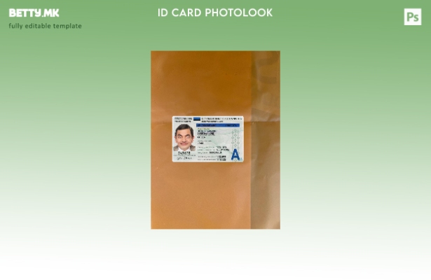 модерен стил Дипломатска лична карта на Естонија, преден шаблон со фото изглед